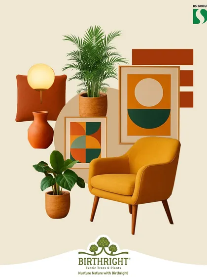 This design collage breaks down the elements of a biophilic interior. We match specific plants, like the Areca Palm and Fiddle Leaf Fig, to the room's style, lighting, and color palette, ensuring the greenery feels intentional and integrated.