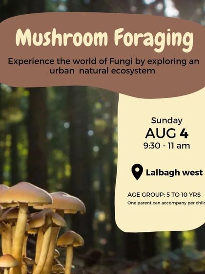 A poster for a monsoon Mushroom Foraging event, a collaboration with experts to explore the world of fungi in the city.