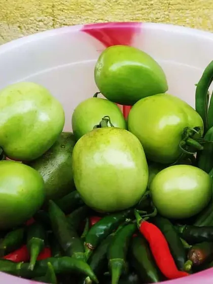 Imagine stepping out to your balcony or terrace and picking your own fresh vegetables for dinner. This bowl of homegrown green tomatoes, beans, and chillies shows the rewarding harvest you can enjoy with a custom vegetable garden I design and install for you.