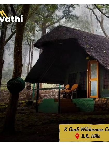 A misty morning at K Gudi Wilderness Camp in BR Hills. The log huts are nestled deep in the forest, offering an authentic and immersive jungle stay experience.