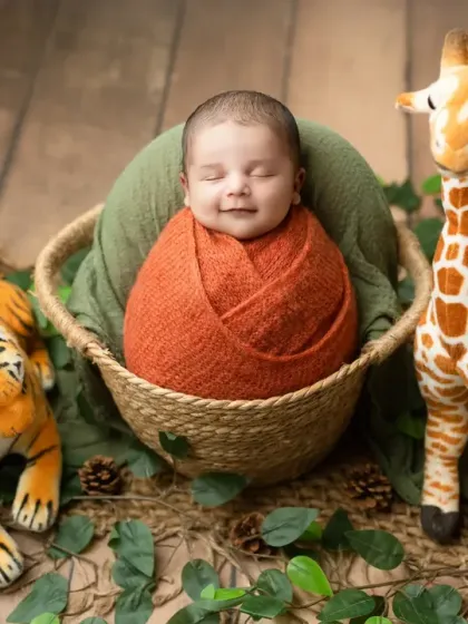 A wide shot of our jungle theme, showing the full setup with the baby nestled between two plush animal friends.