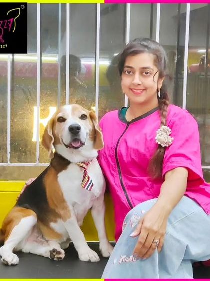 Fuzzy Wuzzy - Pet Grooming & Spa Spaniels, Retrievers & Large Breed Grooming photo 15