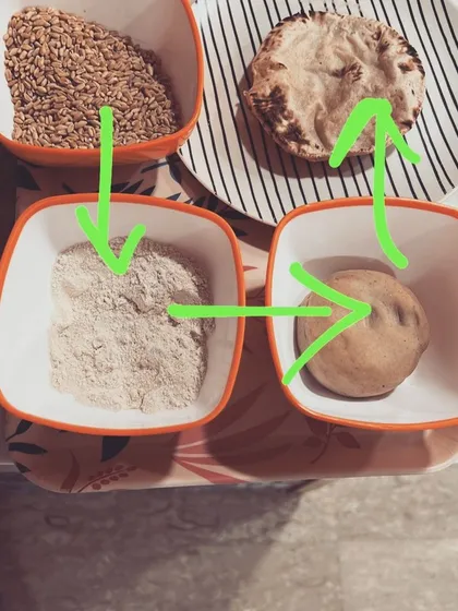 A visual and tactile lesson on wheat processing. The children get to see and touch the wheat grains, flour, dough, and the final roti.