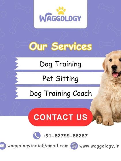 This services graphic features an adorable Golden Retriever puppy. It highlights our main offerings: Dog Training, Pet Sitting, and Dog Training Coach.