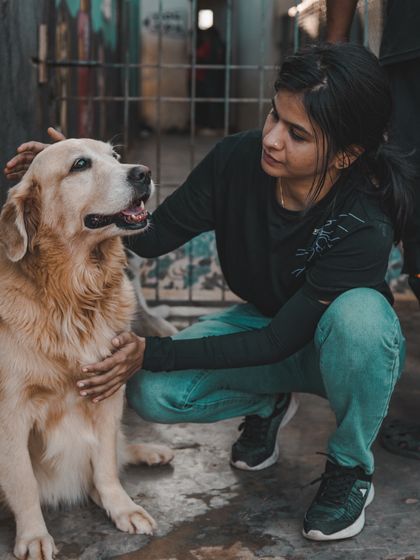 A visitor crouches down to share an affectionate gaze and a gentle pet with a happy Golden Retriever.