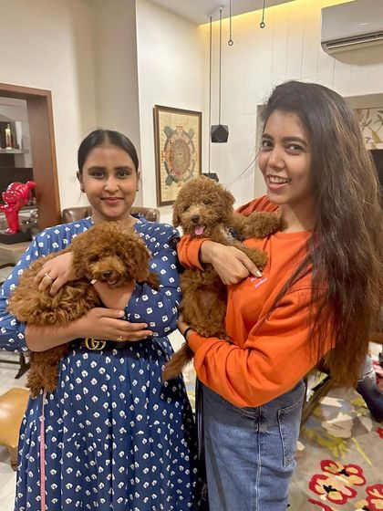 Two women holding their two new red Goldendoodle puppies indoors.