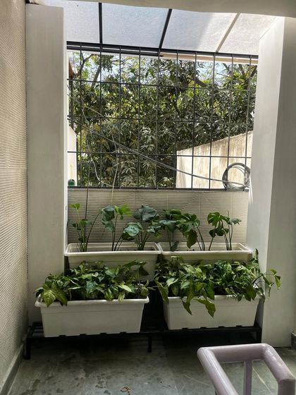 Plant Spotlights & Inspiration photo 10