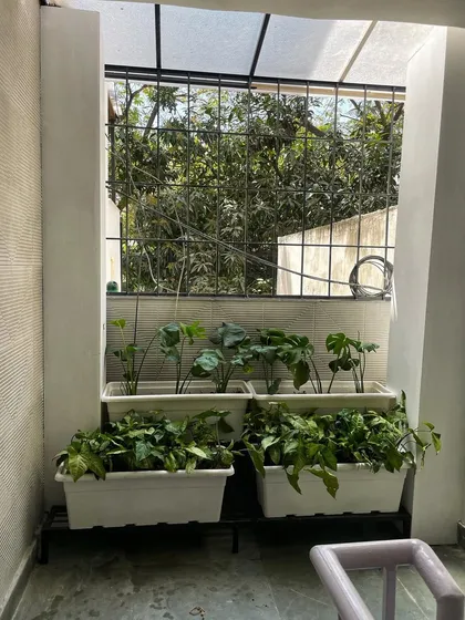 Even a small, shaded nook by a window can become a lovely green corner with the right setup, like these tiered white planter boxes.