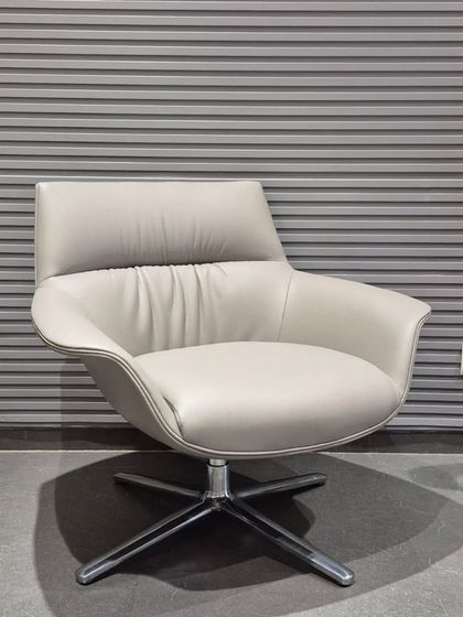 Lounge & Accent Chairs photo 23