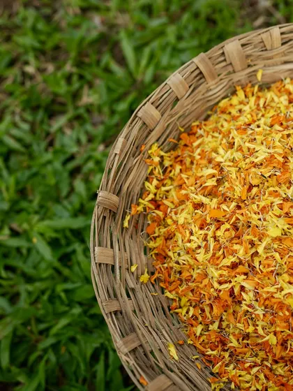 A woven wicker basket filled with loose marigold petals. These petals are often used for showering blessings during ceremonies and add a beautiful, natural element to the decor.