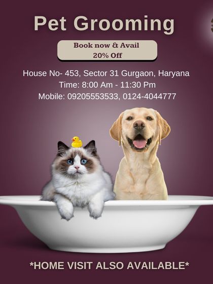 Whether you have a cat or a dog, our grooming services are for you. We offer a 20% discount for new bookings, and for your convenience, we can even provide our professional grooming services at your home.