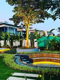 Comprehensive Landscaping Services