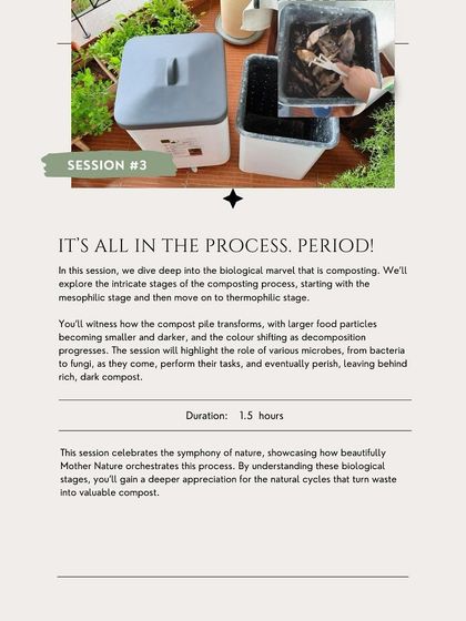 Session 3 is a deep dive into the biological marvel that is composting. We explore the different stages and the roles of various microbes, celebrating the symphony of nature that turns waste into valuable compost.