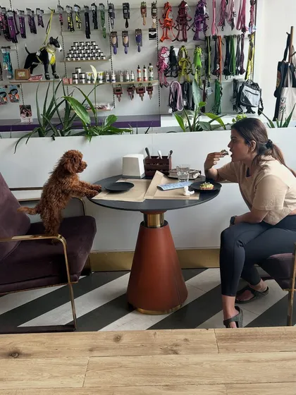 This is what pet-first dining looks like. We create moments where you can share a meal and make memories with your best furry friend, complete with comfortable seating and a welcoming atmosphere for everyone.