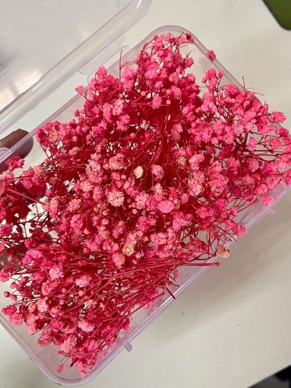 Natural beauty preserved in every petal. This vibrant pink baby's breath is perfect for a fun and colorful Mehandi look.