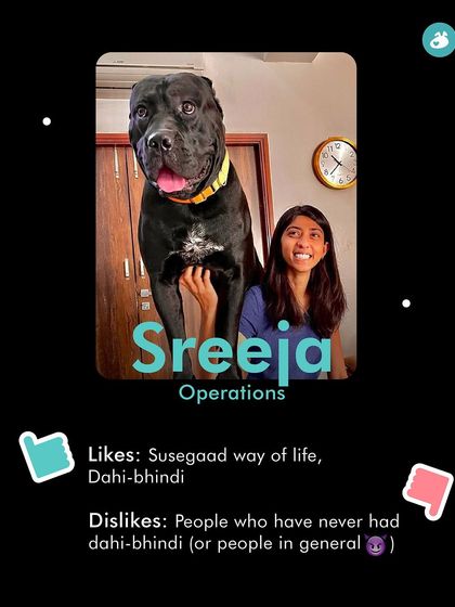 The Pack - Online Pet Parent Community Our Story & Our Team photo 6