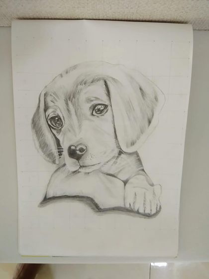 A very sweet sketch of a puppy done with graphite pencils. We learn to capture the soft fur and expressive eyes.
