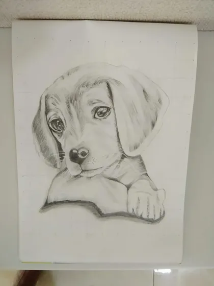 A very sweet sketch of a puppy done with graphite pencils. We learn to capture the soft fur and expressive eyes.