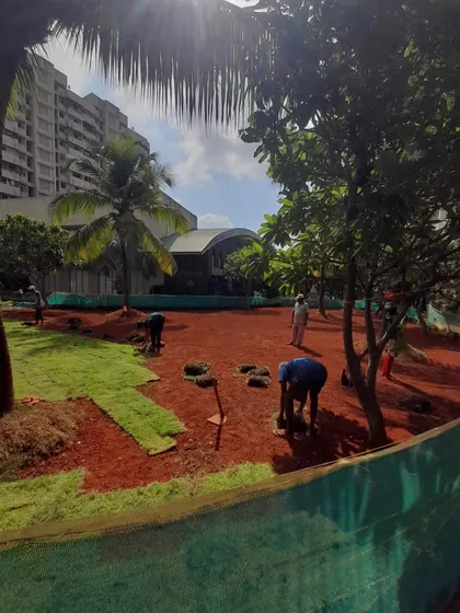 A shot showing the contrast between the newly laid grass and the soil yet to be covered.