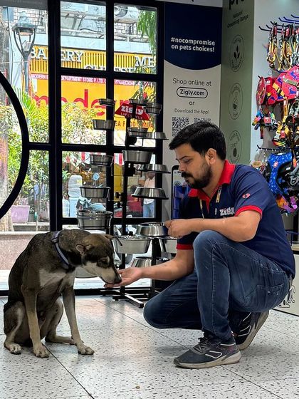 Zigly - Veterinary Services For the Love of All Animals: Community & Rescue Work photo 9