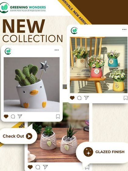 Greening Wonders - Garden Center & Plant Nursery Decorative & Premium Pots photo 4