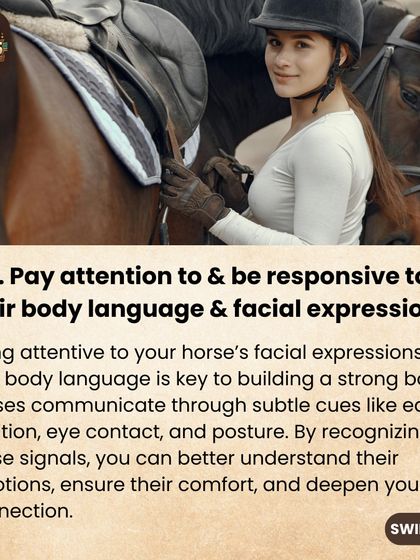 Paying attention to your horse's body language and facial expressions is key to a strong bond. By recognizing subtle cues, you can better understand their emotions and deepen your connection.