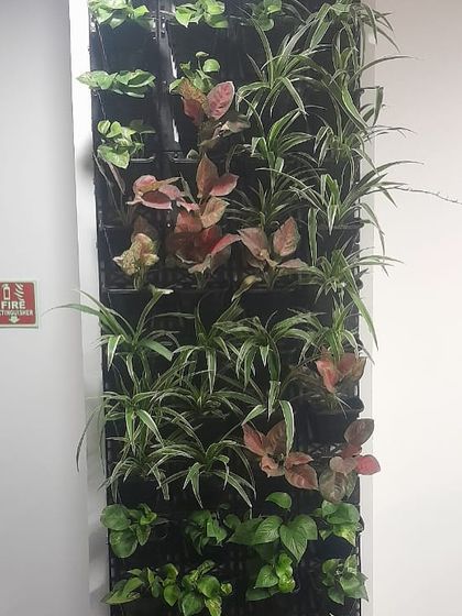 Lush Vertical Green Walls photo 10