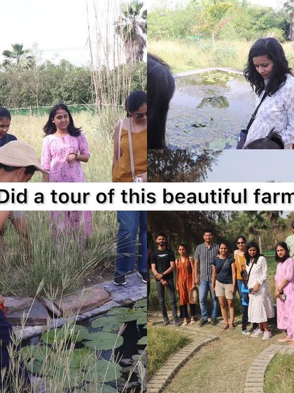 A tour of the beautiful Nehar Sahibi Farm during our second meet-up. We explored the mud and bamboo structures, harvested fresh produce, and learned about sustainable agriculture.