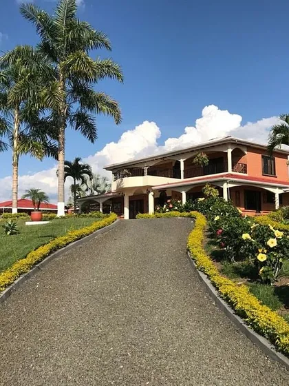 The entrance to a property should be grand and welcoming. Here, we lined the driveway with lush hedges, colorful flowers, and mature palm trees to create an impressive approach to this beautiful home.