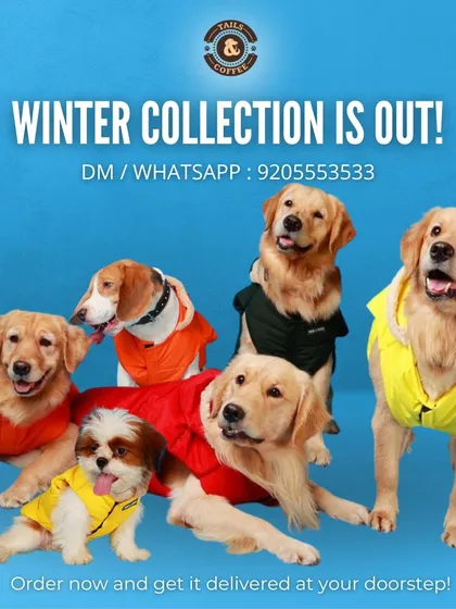 Our winter collection is here to keep your pets warm and stylish. This ad showcases a variety of cozy jackets perfect for different breeds, from Golden Retrievers to Shih Tzus. Order now and get it delivered to your doorstep.