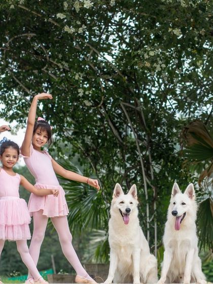 WoofWoof Stories - Pet & Family Photography The Family Bond photo 28