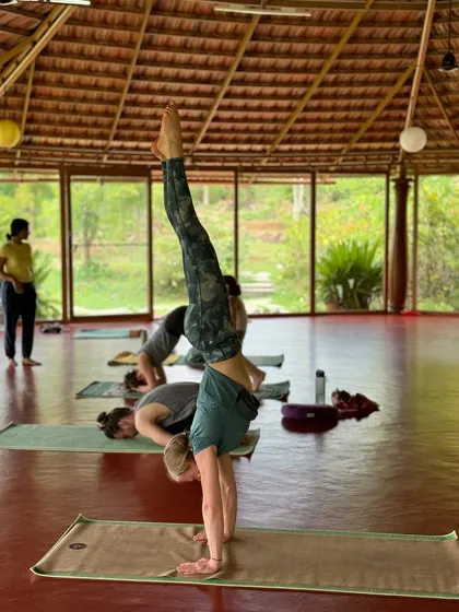 A student holds a handstand, demonstrating the strength and balance cultivated through dedicated practice. Our workshops are designed to help you progress in your asana journey.