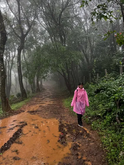 A trekker in a pink poncho walks along a muddy path in a misty forest.