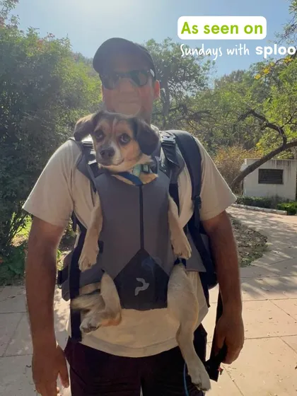 Hansa riding in style to one of our community walks. We love seeing how our community members make every journey an adventure.