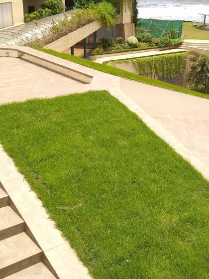 We specialize in transforming complex architectural spaces. Here, we installed a pristine lawn on a sloped section of a multi-level roof, seamlessly connecting the built environment with natural elements.