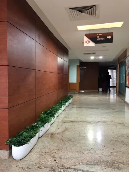 For this corporate office hallway at Sagar Hospital, I installed a series of low-profile planters with dense green foliage. This adds a touch of nature and professionalism to the space, creating a calming environment for employees and visitors without any maintenance distractions.