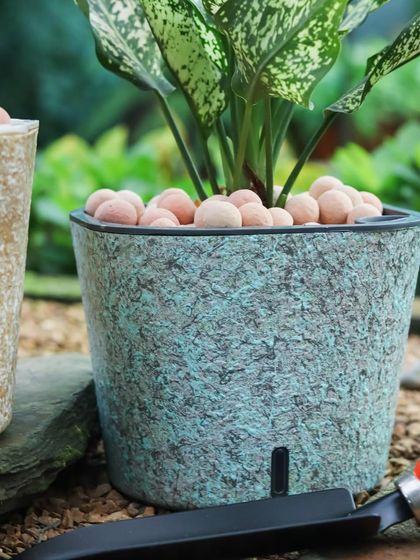 The beautiful teal-green textured self-watering planter. The color and finish give it a unique, aged-patina look that pairs well with the Aglaonema and clay pebbles.