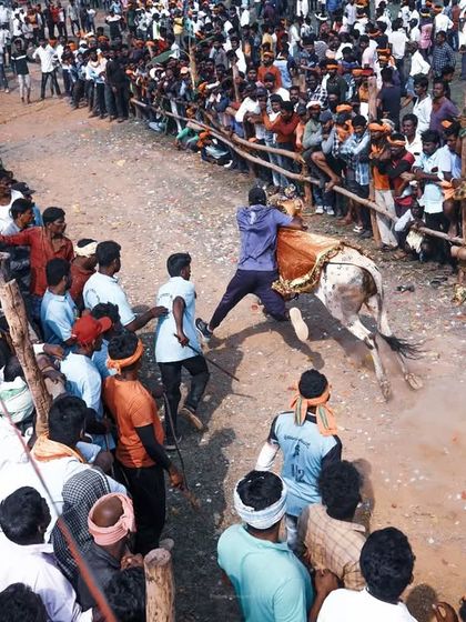 Hattihabba: The Heart of the Village Festival photo 11