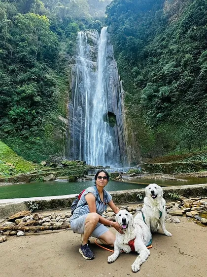 The joy of a road trip is discovering unexpected treasures, like this stunning waterfall in Nepal. I help you plan journeys that are about making memories, not just reaching a destination.