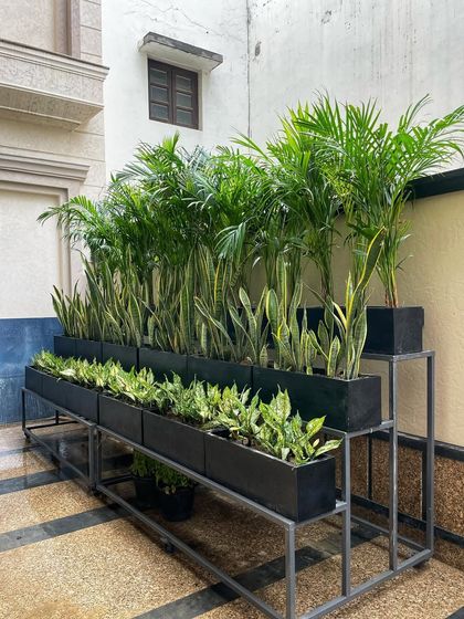 Our Signature Planters & Pots photo 14