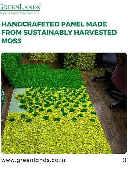 This image shows the handcrafted process of creating a moss wall. Each piece of sustainably harvested moss is placed by hand to create a custom panel, ensuring a unique and artistic design.