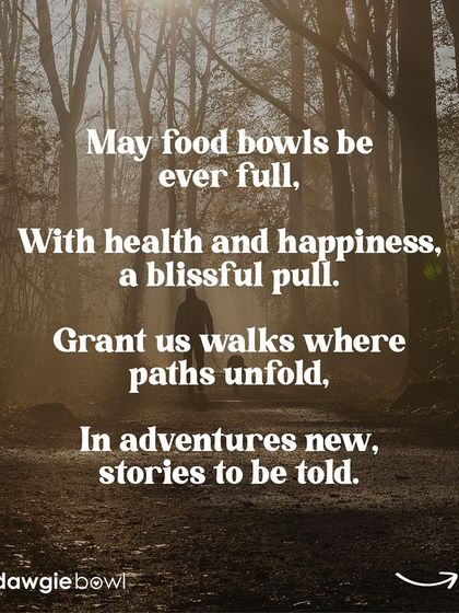 Embracing the New Year with pawsitive vibes. Here's to a year filled with wagging tails, unconditional love, and countless adventures. Happy New Year from my pet family to yours! 🧡