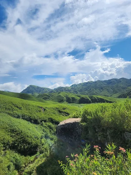 The breathtaking expanse of Dzukou Valley under a beautiful sky. This is the view that rewards you after a challenging but rewarding trek.