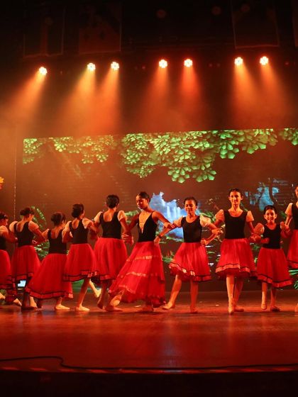 The full cast on stage during our sold-out show. The energy of a live audience is an incredible experience for our dancers.