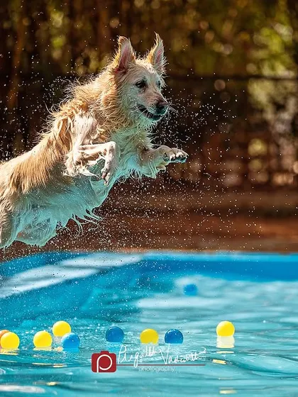 Capturing pure joy and energy is what I live for. This shot of Ginie mid-flight into a pool shows my ability to freeze the perfect moment during on-location action shoots, creating dynamic images for lifestyle brands.