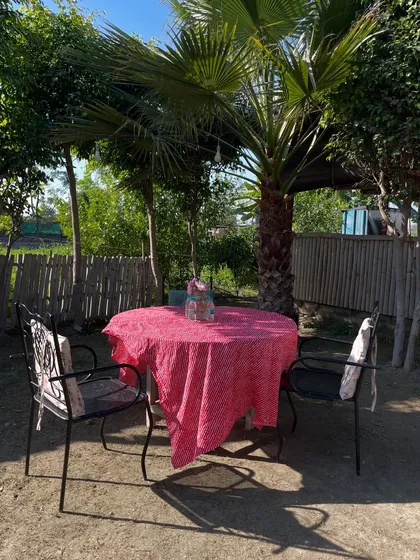 A cozy little corner for two at the farm. It's the perfect spot for a quiet chat amidst the greenery.