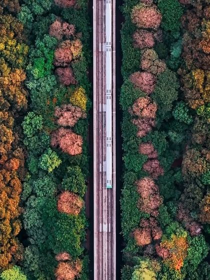 This top-down shot of the Jayanagar metro line is one of my favorites, perfectly capturing the symmetry of the train moving through a corridor of trees.