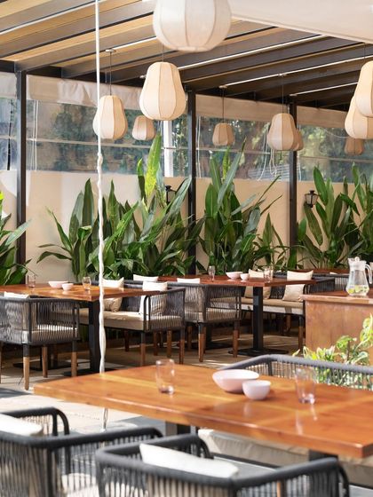 This view showcases the layout of the outdoor seating, designed for both intimacy and flow. The hanging fabric lights and surrounding plants make each table feel like a private nook.