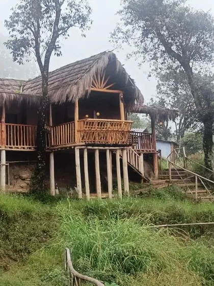 Another view of the charming mud house stay, surrounded by lush greenery.