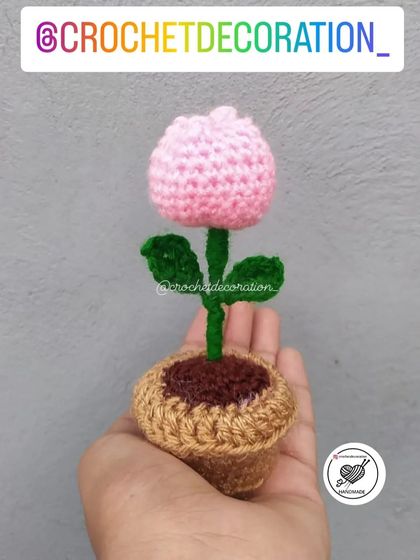 A mini tulip pot, featuring a single pink tulip. Simple, elegant, and cute.